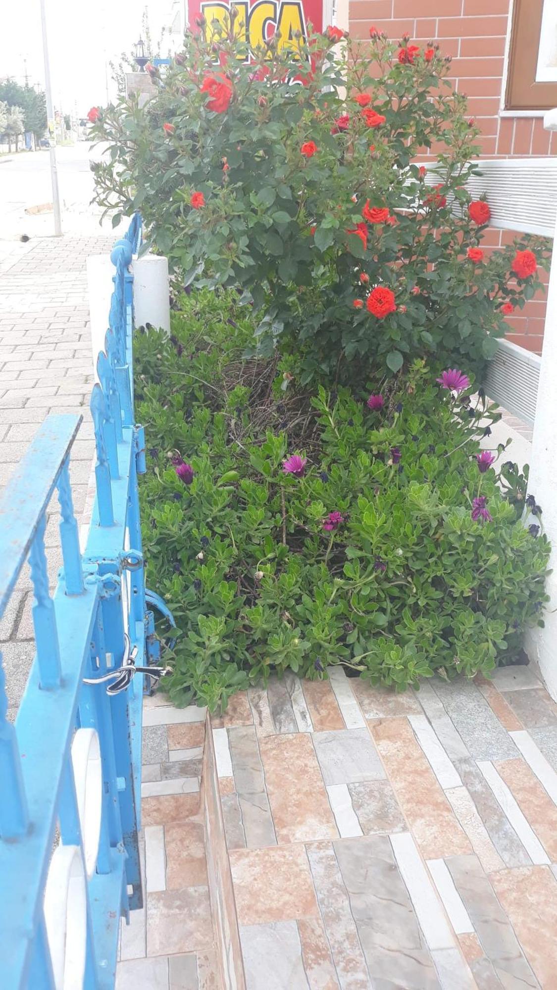 סרנדה Vila Shuka Ksamil מראה חיצוני תמונה