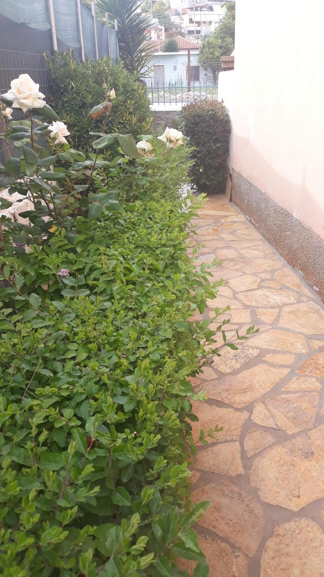 סרנדה Vila Shuka Ksamil מראה חיצוני תמונה